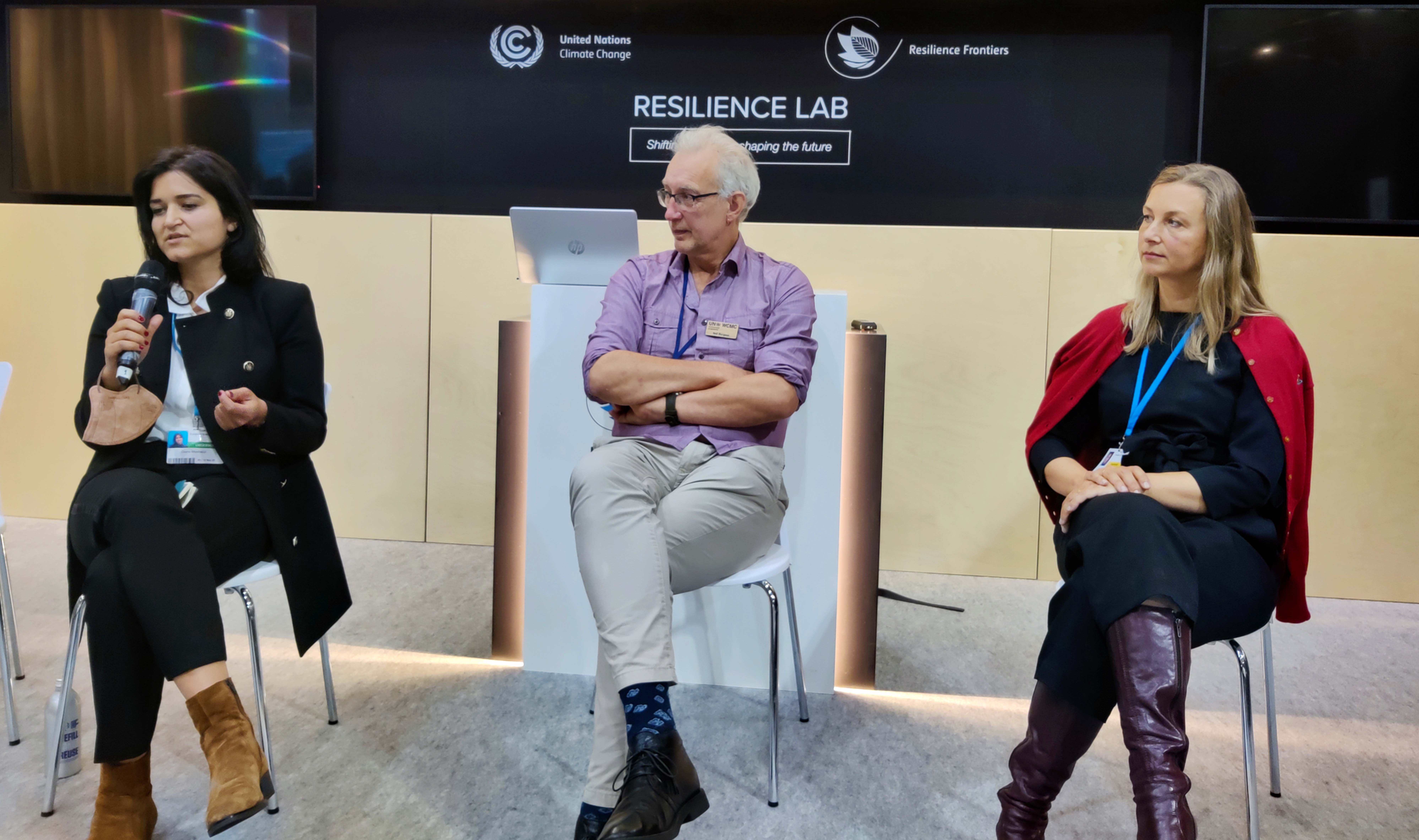3rd Session panel