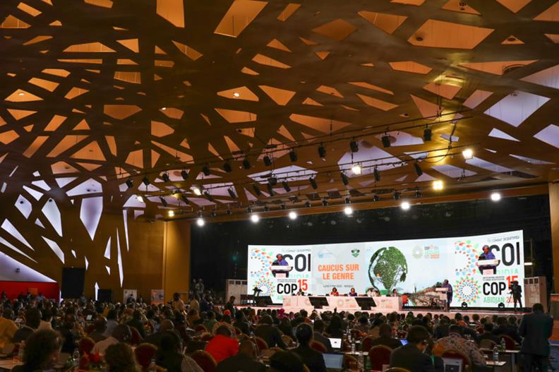 UNCCD Abidjan venue