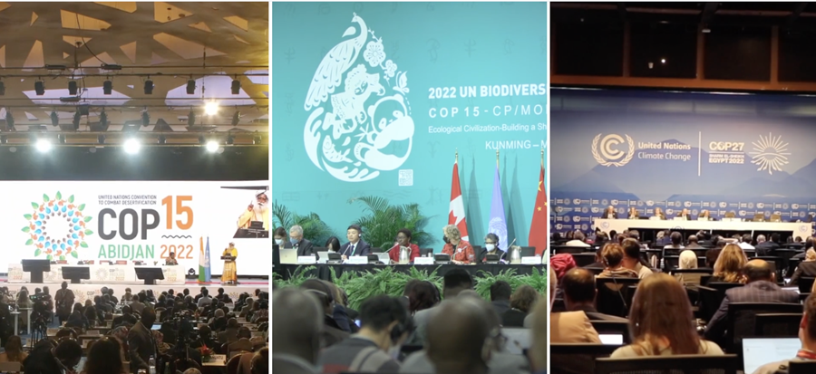 Rio Convention COPs of 2022