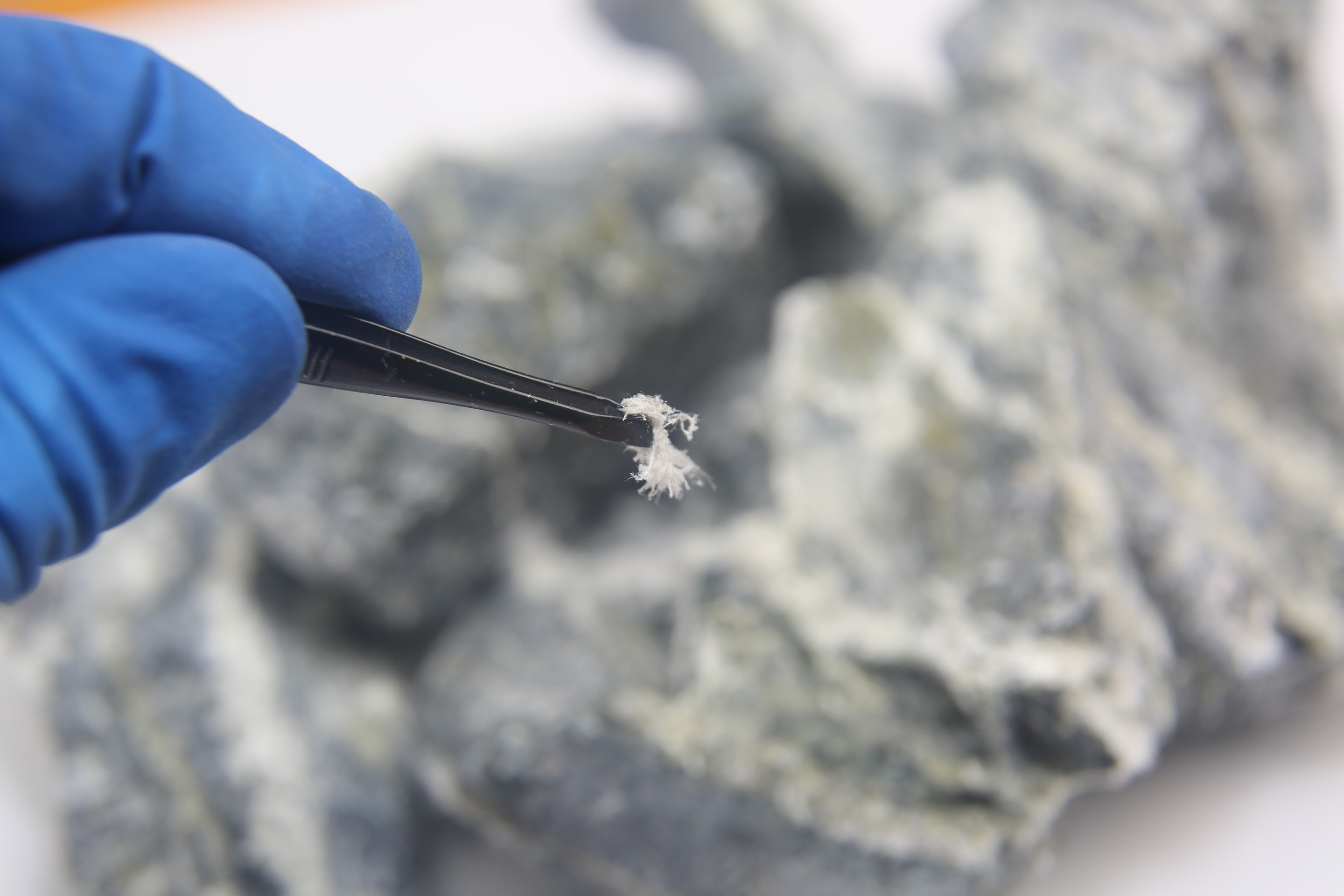 Chrysotile Asbestos