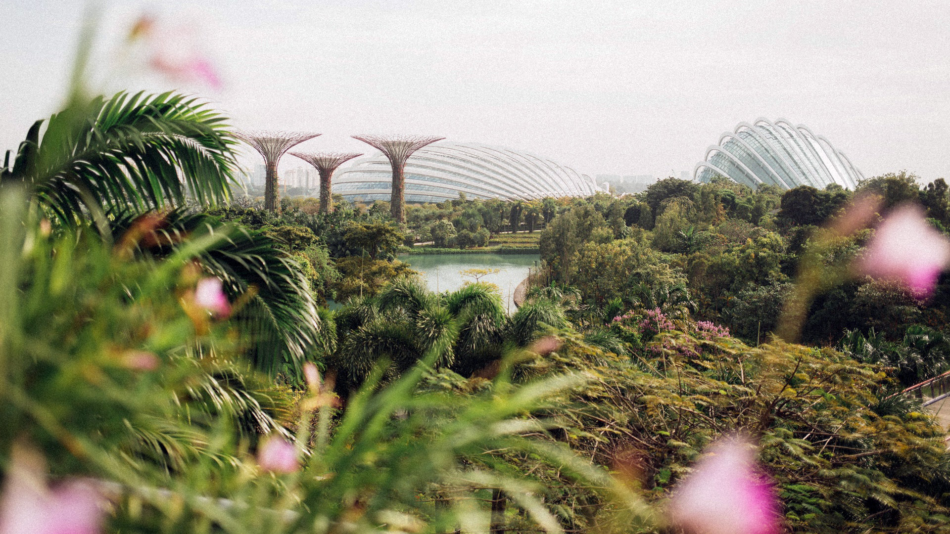 Cities and Nature