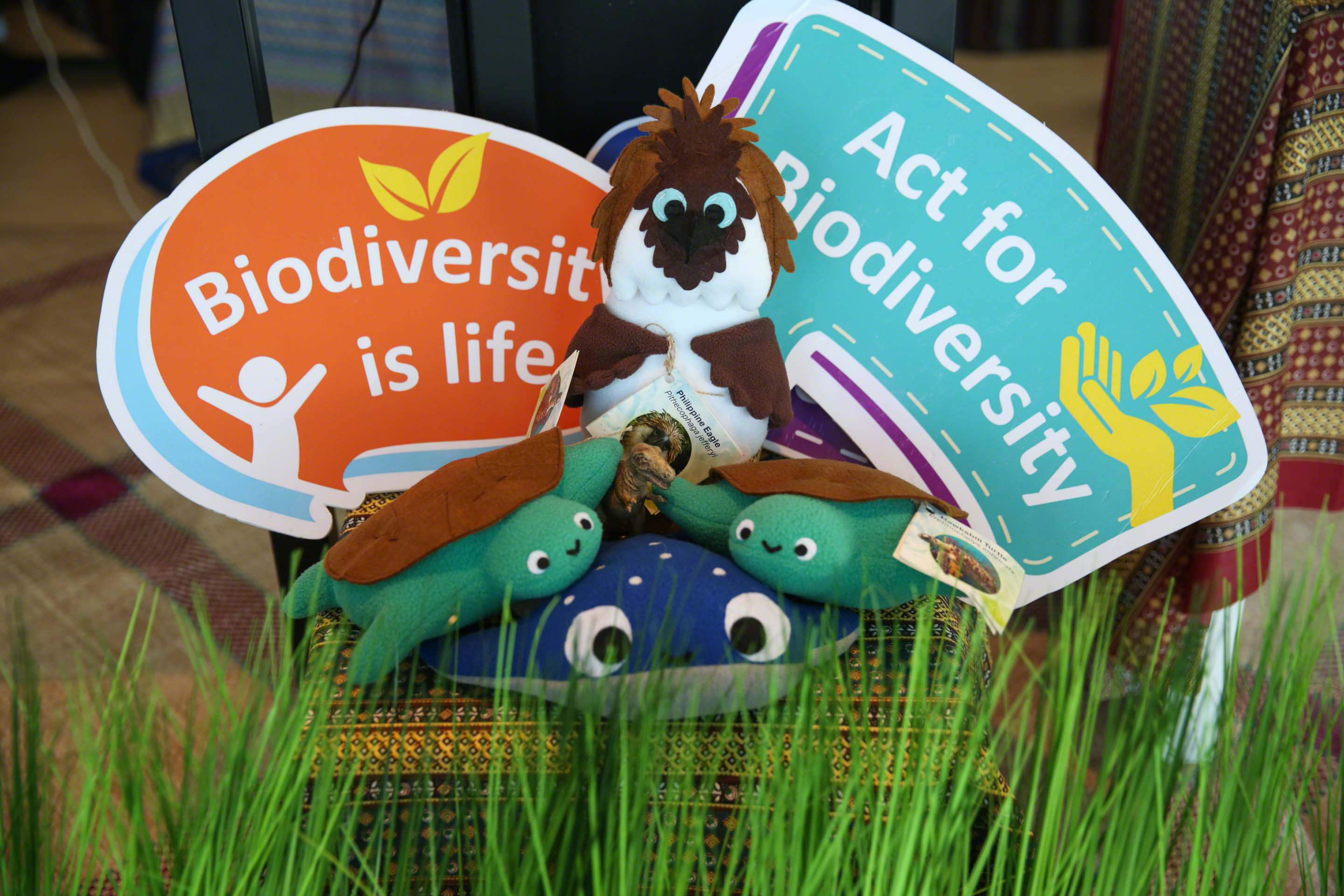 Biodiversity