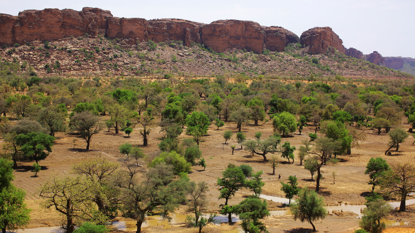 Greening Sahara
