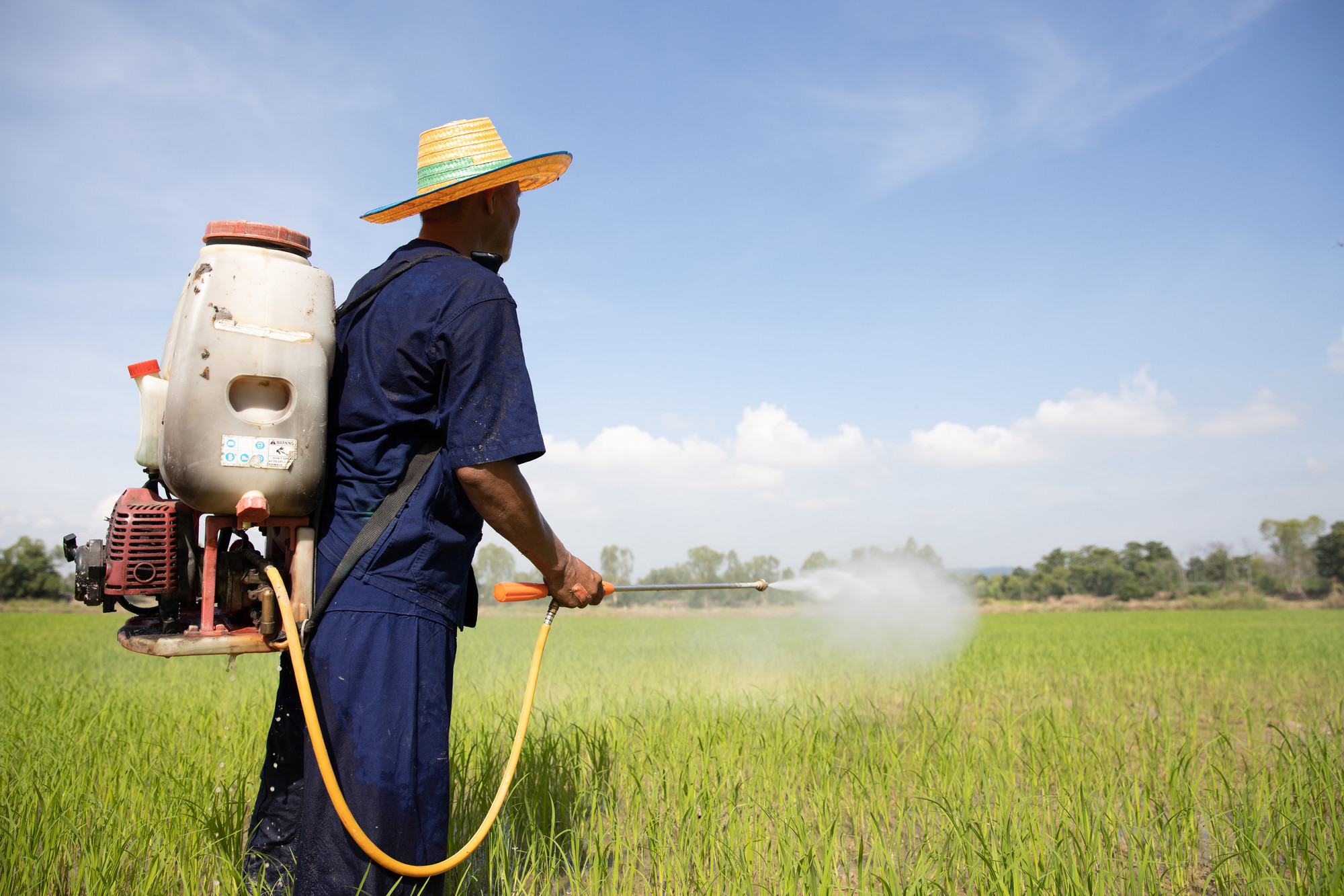 Pesticide spray