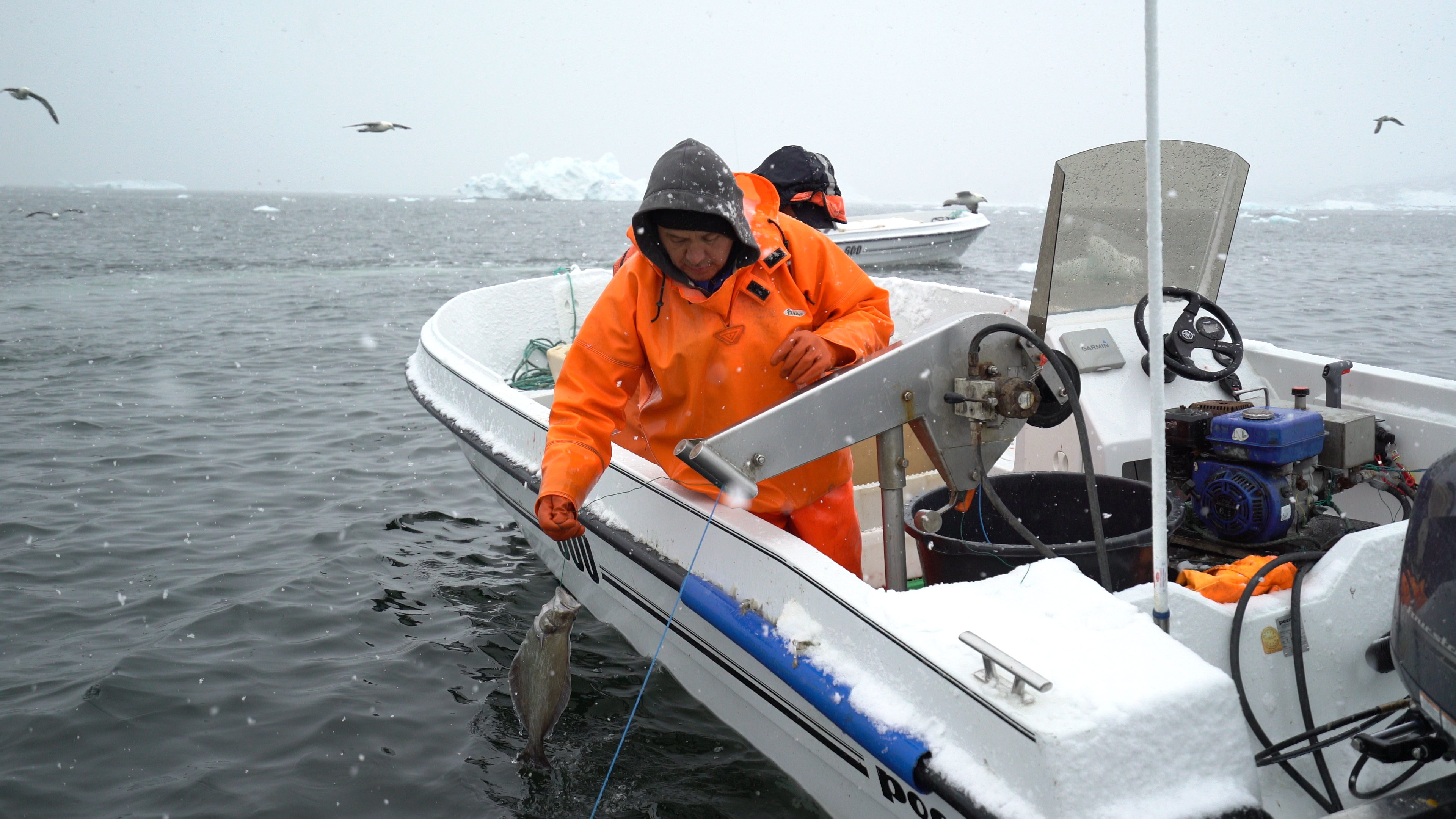 Arctic fishing