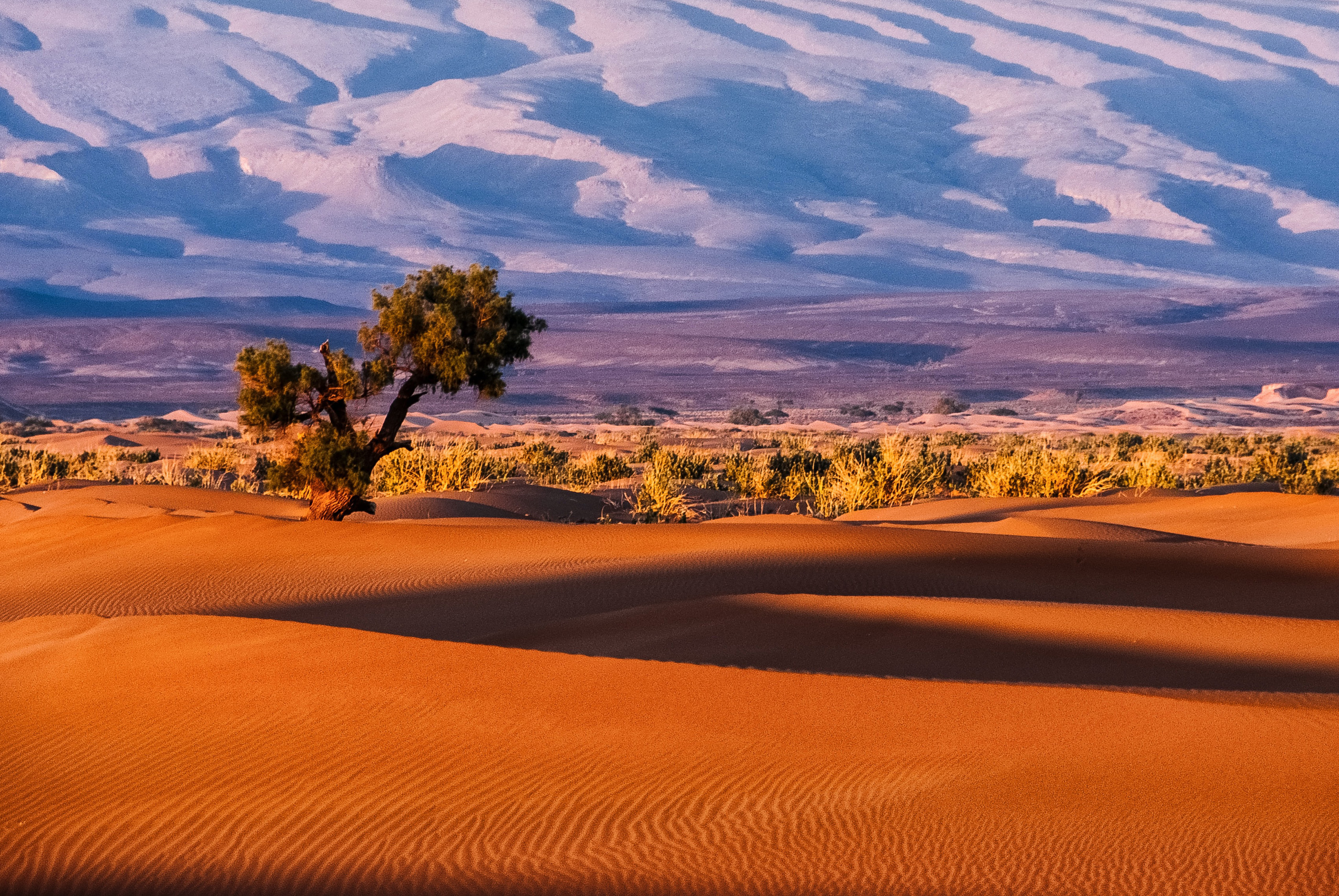 Desert