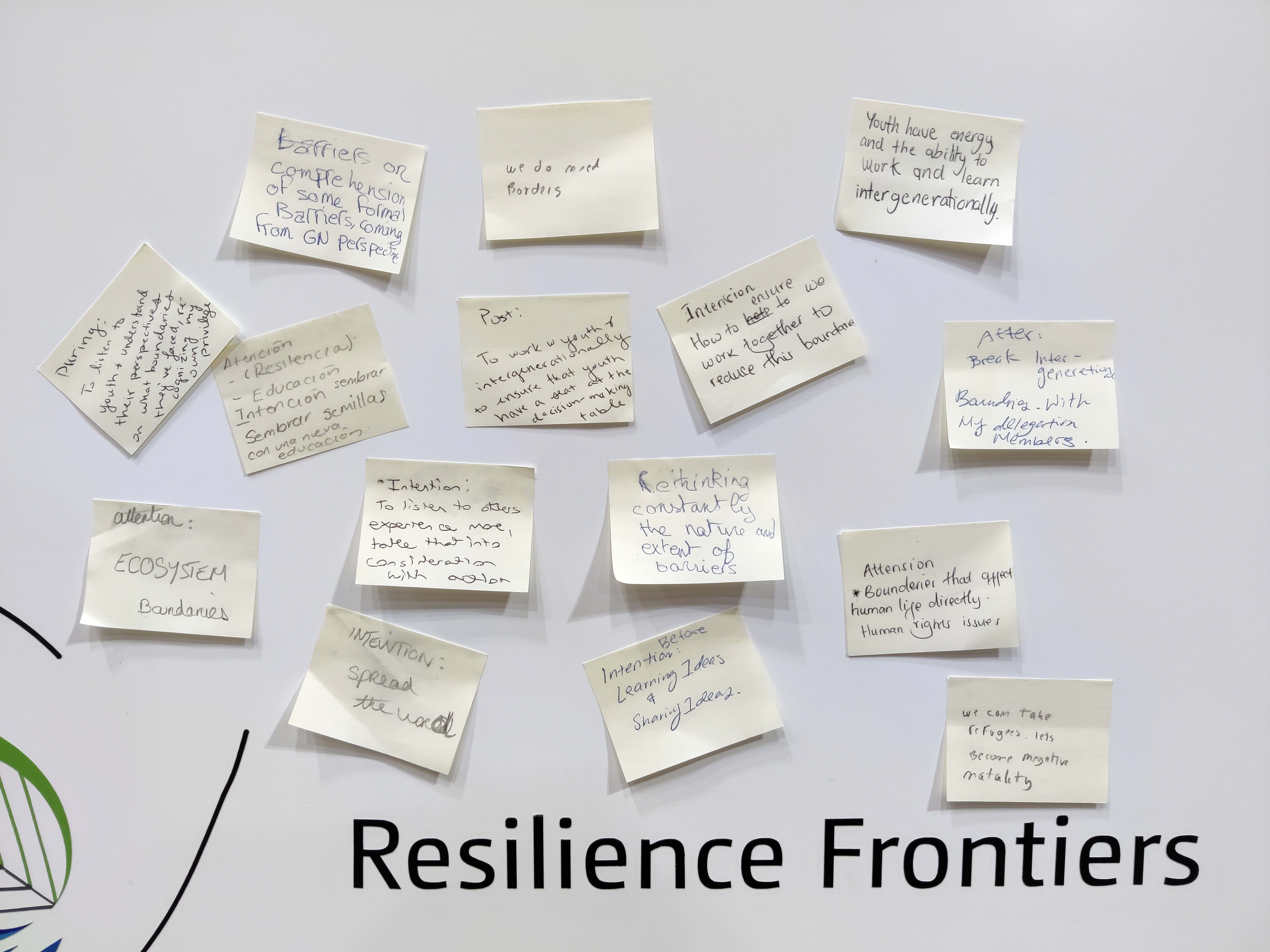 Participants’ reflections from the youth-led session