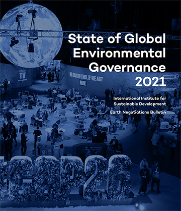 State of Global Environmental Governance 2021