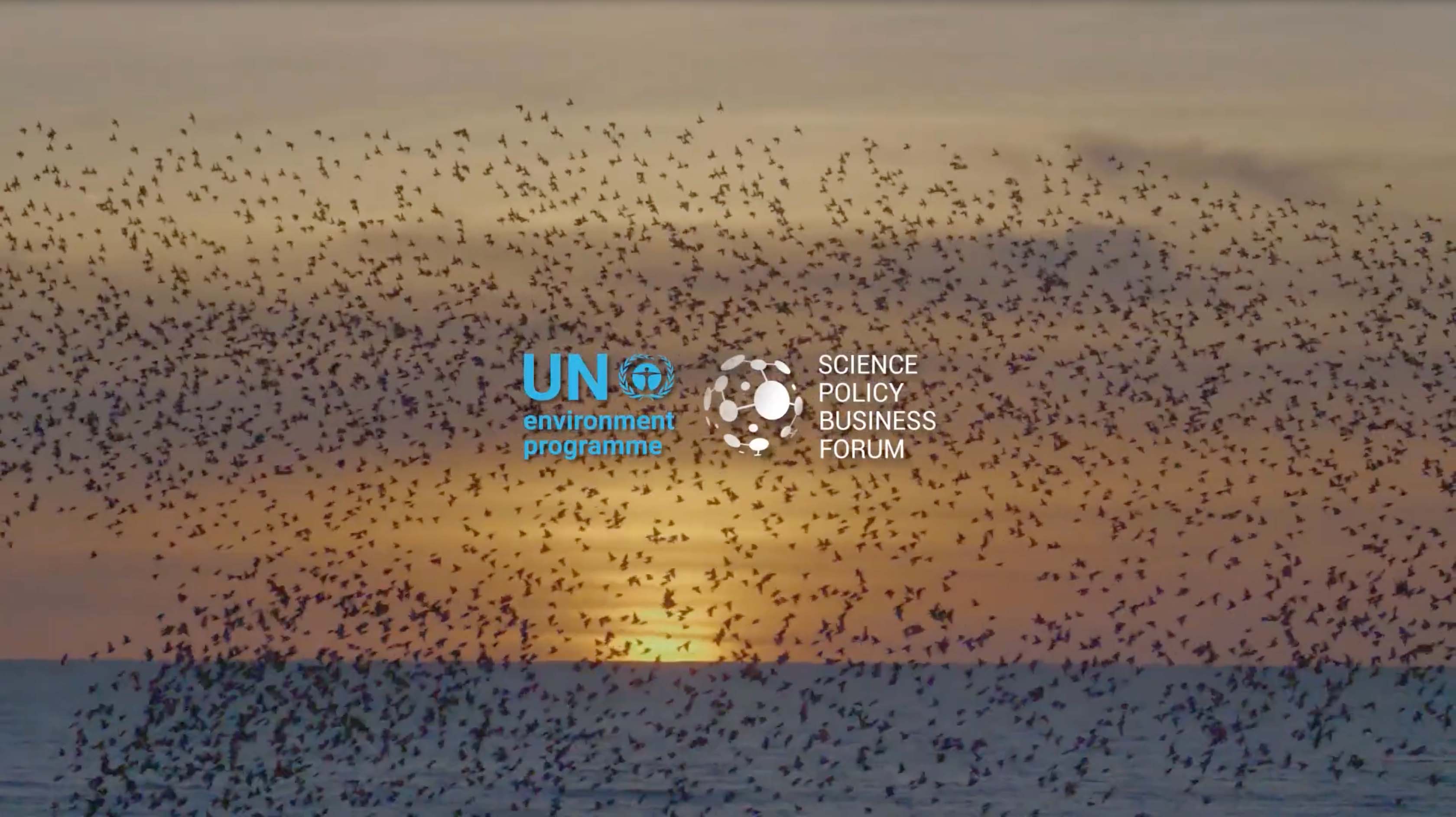 UNEP - Science Policy Business Forum