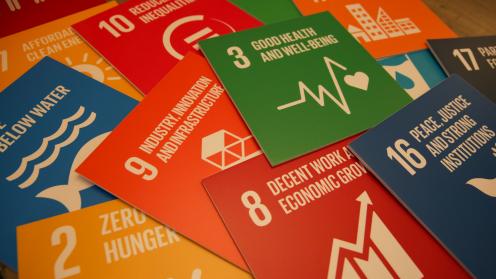 SDG Goals