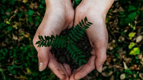 Green growth