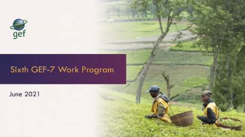 Sixth GEF-7 Work Program