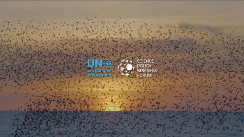 UNEP - Science Policy Business Forum