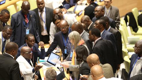 Delegates huddle at UNFF12