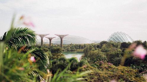 Cities and Nature