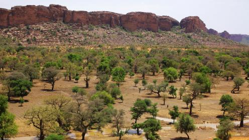 Greening Sahara