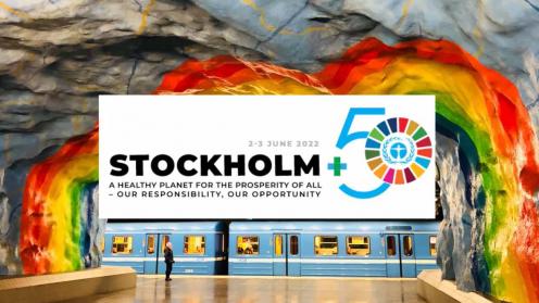 On the road to Stockholm+50