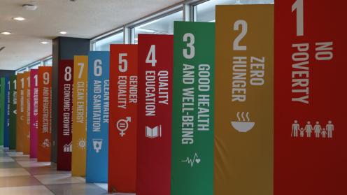 The SDGs