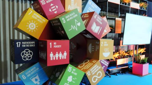 SDGs