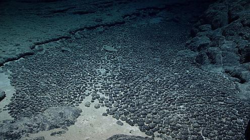 A field of manganese nodules