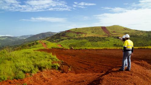 Surveyors in mining