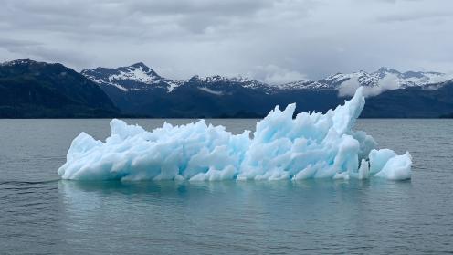 Iceberg