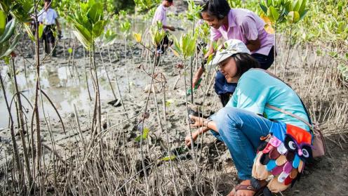 Multilevel Governance as a Catalyst for Adaptation Finance at the Local Level