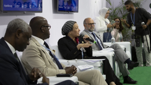  Name Panelist - Restoring balance with nature for a sustainable future COP27 Side Event - 15 Nov 2022 - Photo