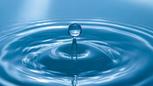 Water