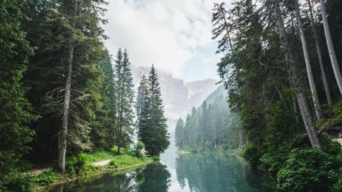 Nature