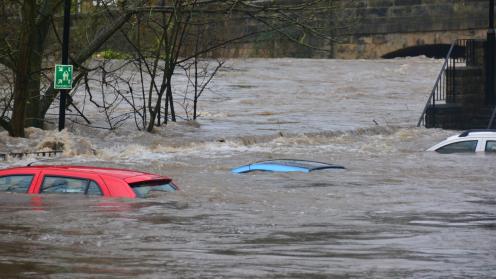 Flood cars