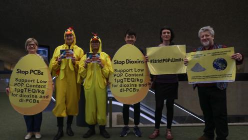 In an effort to highlight to stop releases of POPs from waste, members if IPEN demonstrate how POPs travel from waste through the food chain
