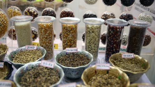 Grains