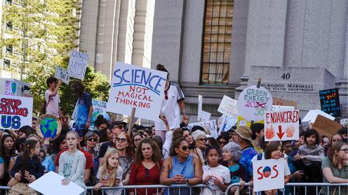 Climate protesters