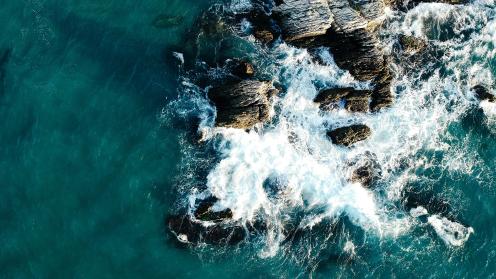 Ocean