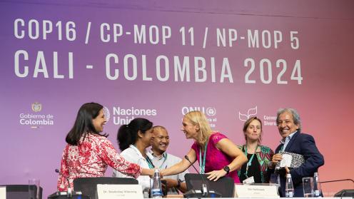 1 Around the Venue - Solutions for the Implementation of Synergies - 25 Oct2024