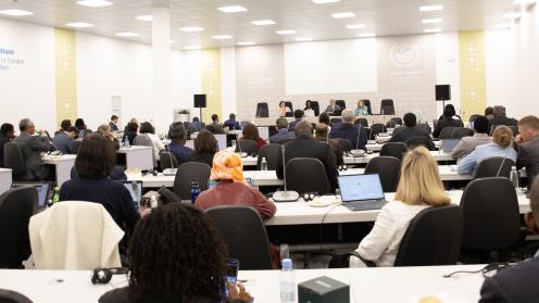 1- Future Leaders Network - UNCCD - COP16 - 11Dec2024