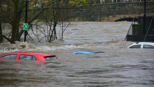 Flooded cars