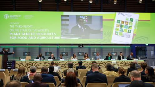 A view of the room during the panel discussion