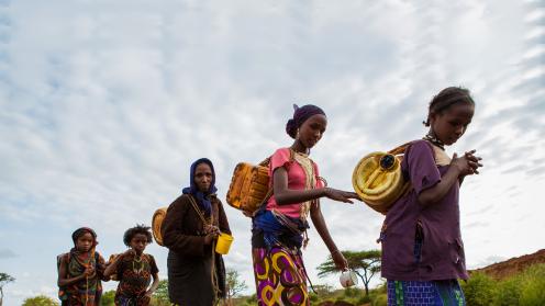 African farmers