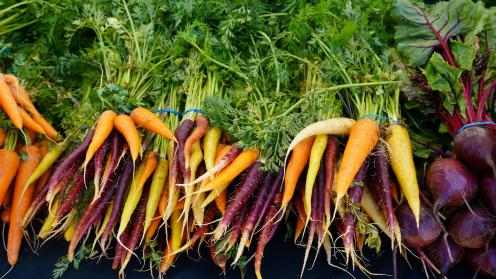 Orange and green chili peppers