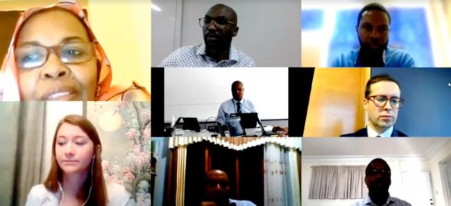 Clockwise from top left: Least Developed Countries Expert Group (LEG) Chair Hana Hamadalla Mohamed , Sudan; Pa Ousman Jarju, Green Climate Fund (GCF) Secretariat; Mokoena France, Lesotho; Manuel José Salidas, COP 25 Presidency; Kenel Delusca, LEG Vice-Chair, Haiti; Adao Soares Barbosa, Timor-Leste; Nikki Lulham , LEG Member, Canada; UNFCCC Secretariat IT support 