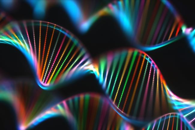 Synthetic biodiversity