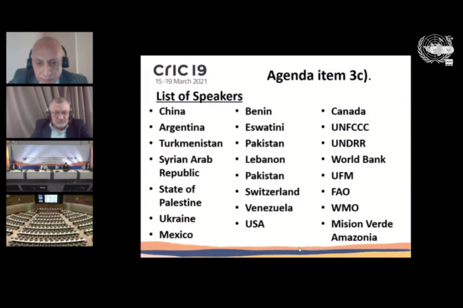 CRIC19 - 17March 2021