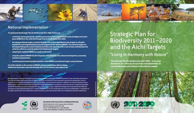Strategic Plan for Biodiversity 2011-2020