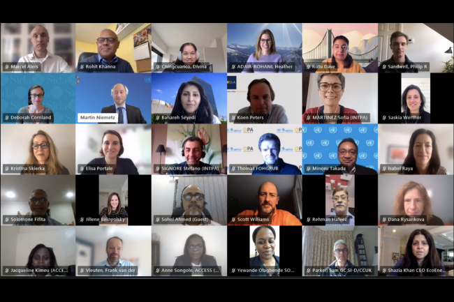 Participants in the final meeting of the Technical Working Group on Energy Access pause for a group screenshot