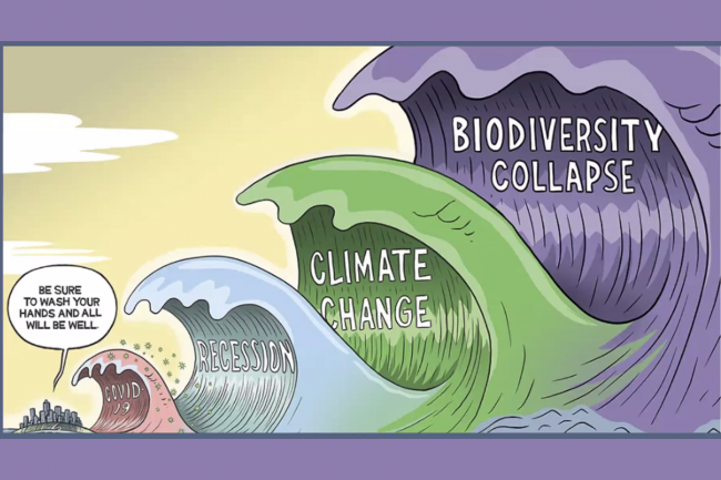 Cartoon Slide - GEF60 - 16June2021