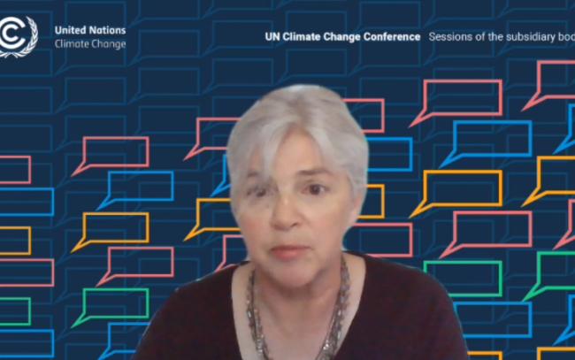 Elizabeth Atkinson, Co-Fac LDCs 