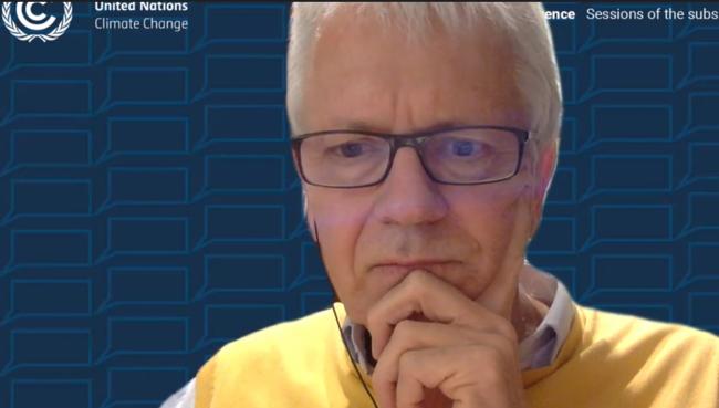 Harald Winkler, Co-Fac global stocktake