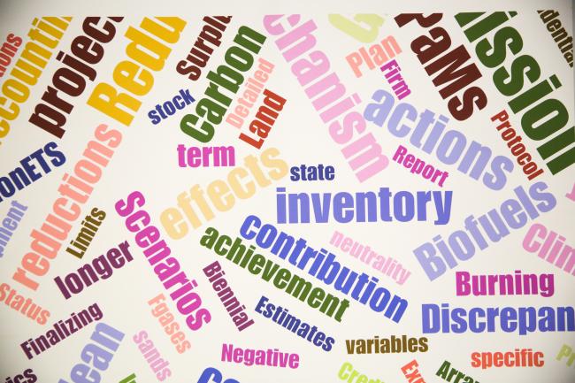 Climate word cloud - lead